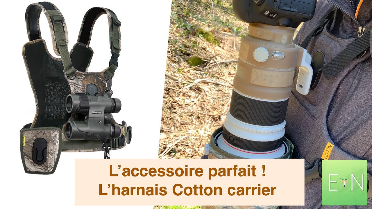 L’ACCESSOIRE QU’IL VOUS FAUT POUR L’ANIMALIER ET RANDO ! - HARNAIS COTTON CARRIER.