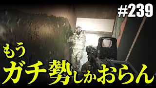 【タルコフ】もうガチ勢しかいないじゃないか【#239】