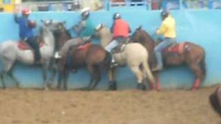 preview picture of video 'toros coleados en pedraza buen turno'