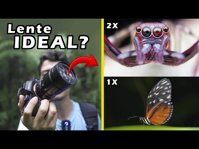 Vídeo relacionado con 7artisans 60mm F2.8 II APS-C 1:1x Super Macro lente de cámara sin espejo adecuado para Canon EOS-M Mount Camera M1 M2 M3 M5 M6 M10
