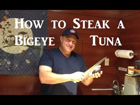 download lagu mp3 mp4 Big Eye Tuna Meat, download lagu Big Eye Tuna Meat gratis, unduh video klip Big Eye Tuna Meat