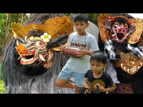 Looking for a Very Large Barong Bangkung