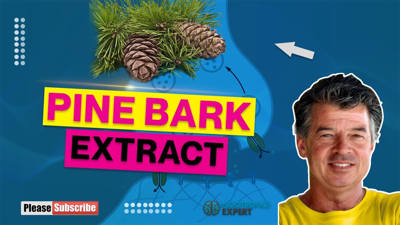 Pine Bark Extract - YouTube