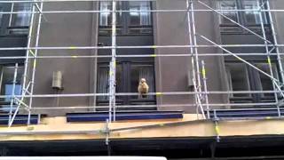 City-huuhkaja yliopistonkadulla 23.6.2011