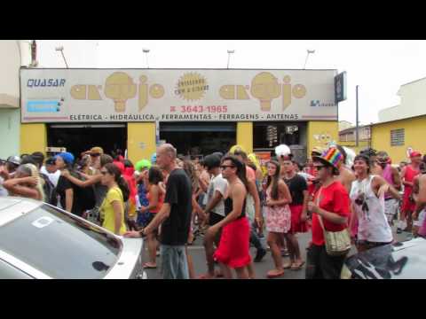 Bloco das Dondocas - Carnaval 2014 - Pindamonhangaba-SP