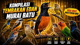 Download lagu MURAI BATU GACOR FULL ISIAN KASAR KRETEKAN KERAS SANGAT AMPUH MEMANCING EMOSI MURAI BATU mp3 Download lagu MURAI BATU GACOR FULL ISIAN KASAR KRETEKAN KERAS SANGAT AMPUH MEMANCING EMOSI MURAI BATU mp3
