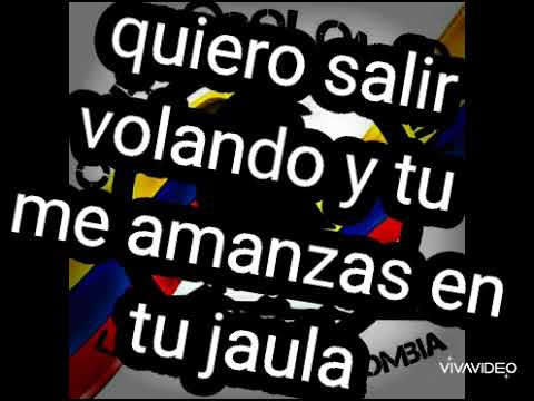 quiero volar - LETRA - cuerva colombiana