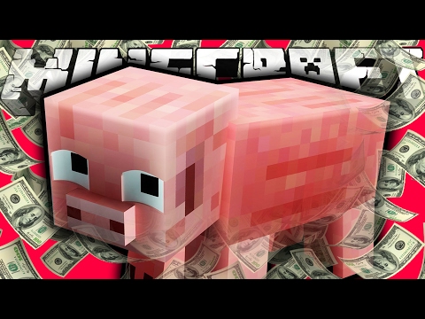 UN MAIALE CON SOLDONI $$$ SU MINECRAFT w/ ERENBLAZE