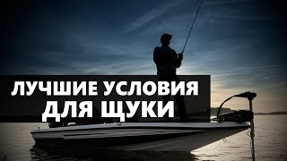 Влияние ветра и давления на клев щуки