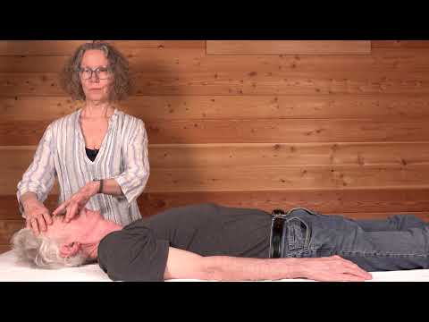 Craniosacral Therapy Sinus Protocol