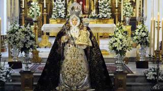 LOS PELEGRINITOS EN LUCENA