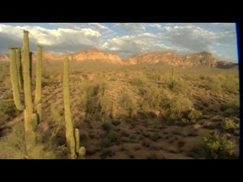 Schulfilm: 360° - die GEO-Reportage - Wüste auf Bewährung (Schulfilm-Vorschau)