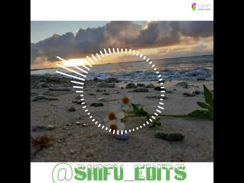 🌴Love You Fullest🌴