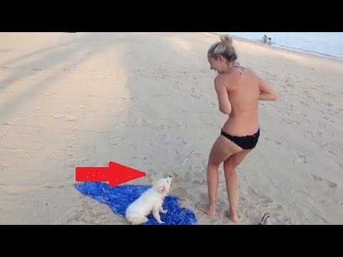 Beautiful Girl Biker Performs | AMAZING Highway || Motorcycle Stunts Riding Long Stunt Bike Wheelies