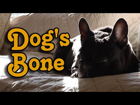 Dog's Bone (Comedy Short Film)