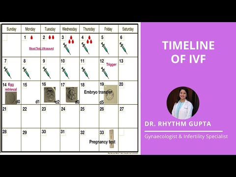 Timeline of IVF Explained Correctly | Dr Rhythm Gupta - Fertility Specialist
