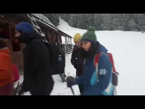 Cab.PIATRA SINGURATICA -  1504 m -  Vf. P. S. - 1608 m