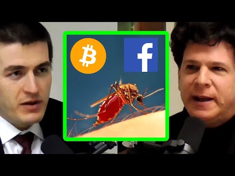 Eric Weinstein: Artificial Outelligence - AI that Evolves &amp; Self-Replicates | AI Podcast Clips