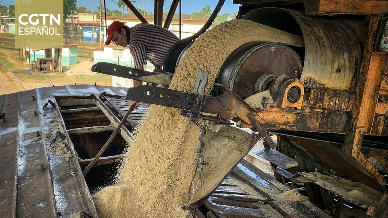 Cuba formula un plan gubernamental para revitalizar su industria azucarera