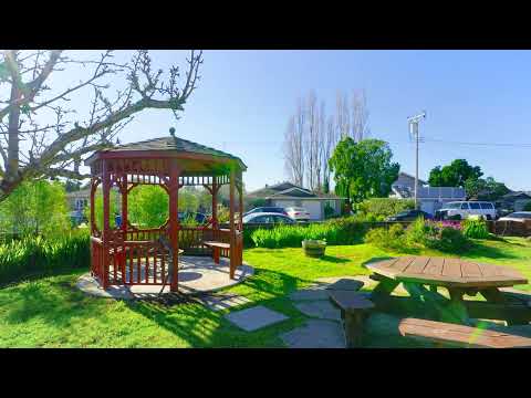 Halterman - Video 2 of 2