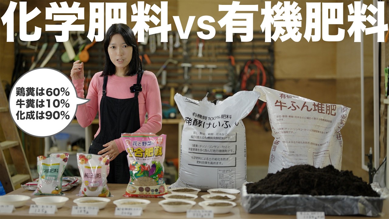 化成肥料と有機肥料の効果比較