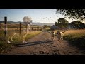 The Shady River Bard - Footprints in the Dust [Official Music Video]