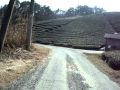 A Scenery From Shiho S Cycling 2