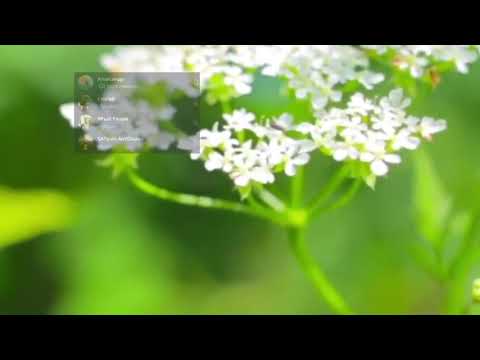 Автономия . Чудеса.  Важно понимать, что мы безконечно богатые.