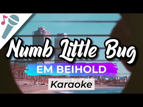 Em Beihold - Numb Little Bug - Karaoke Instrumental (Acoustic)