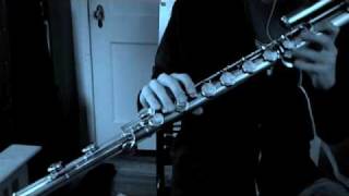 The Seaside Cavern: A Bass Flute Solo