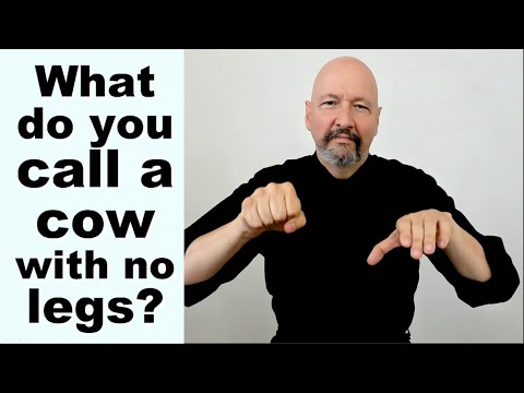 ABC s in ASL Learn how to Fingerspell