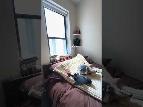 video 1