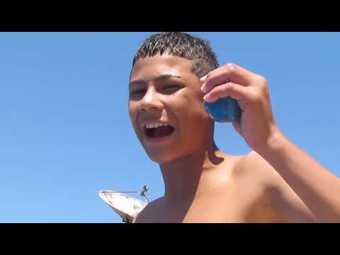 MC LP, MC FEFE, MC BIELZINHO E MC BEBE KING - MEDLEY