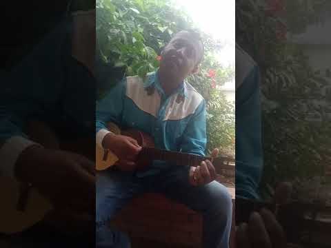 Los Amigos del Bolsillo