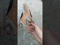 Homemade JCB 3dx With Cardboard Jcb Shorts Foryourpage