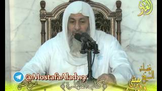 أبو شجاع (12) " كل مائع خرج من السبيلين نجس إلا المني " الشيخ مصطفى العدوي 20 4 2016 image