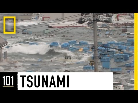 All About Tsunamis