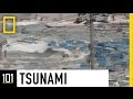 Tsunamis 101 National Geographic