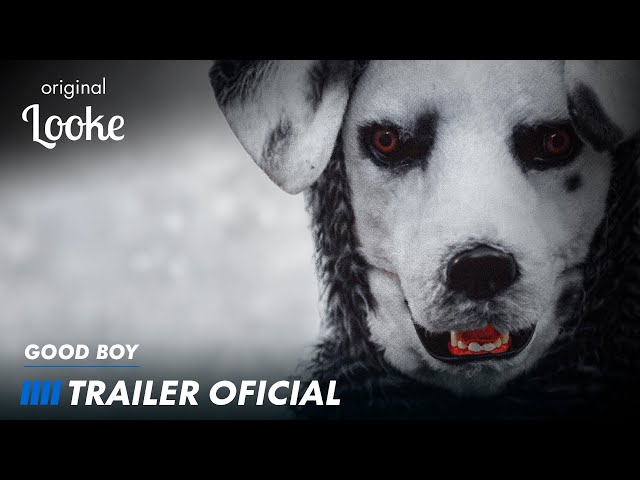 Good Boy | ORIGINAL LOOKE | Trailer Oficial