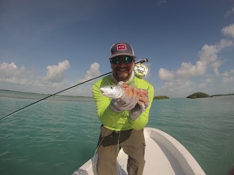 Bonefish 101 - Quick Beginners Guide To Bonefishing