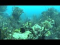The Southwest Breakers Dive, June 16, 2014 Bermuda with Blue Water Divers