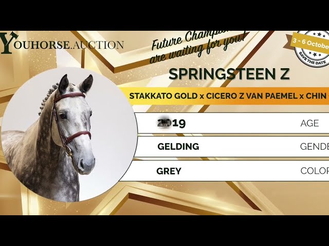 Ultra Star Equizen homevideo
