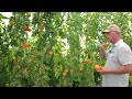 Video for Margold