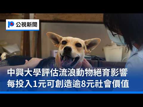 youtube影片