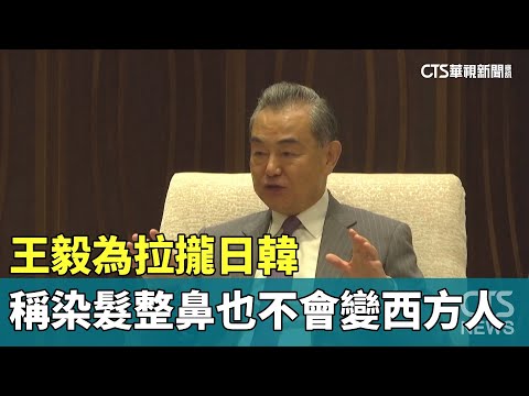 王毅為拉攏日韓　稱染髮整鼻也不會變西方人