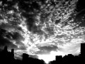 And Also The Trees - Sunrise 