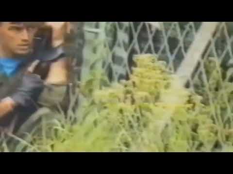 Mile Delija - Obiso sam Krajinu