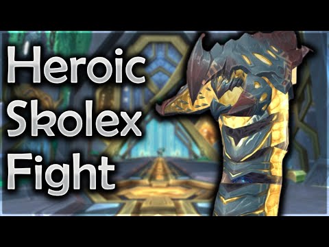 Heroic Skolex Fight Ret Pally POV - Sepulcher of the First Ones | World of Warcraft