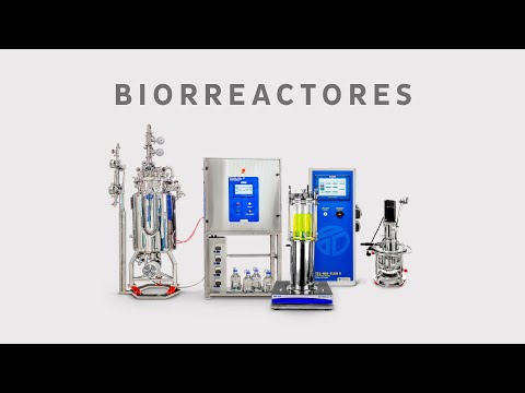 Diferença entre biorreator e fermentador - Notícia 2026