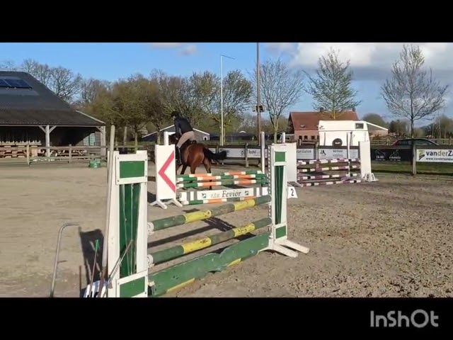 Riding and jumping movie at home Spirito di Anubertha AC (Emir R x Elvis ter Putte).